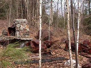 Remains of old homestead near Eels Creek