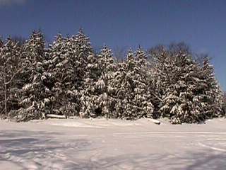 photos of Eels Lake area - winter scene