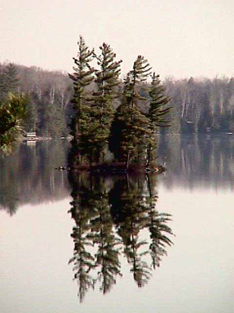 photos of Eels Lake area - pine island